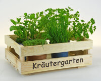 Kräutergarten - Stiege M halb - Küchendeko