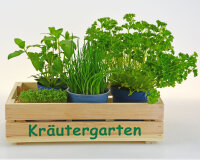 Kräutergarten Stiege S - Küchendeko - Kiste...